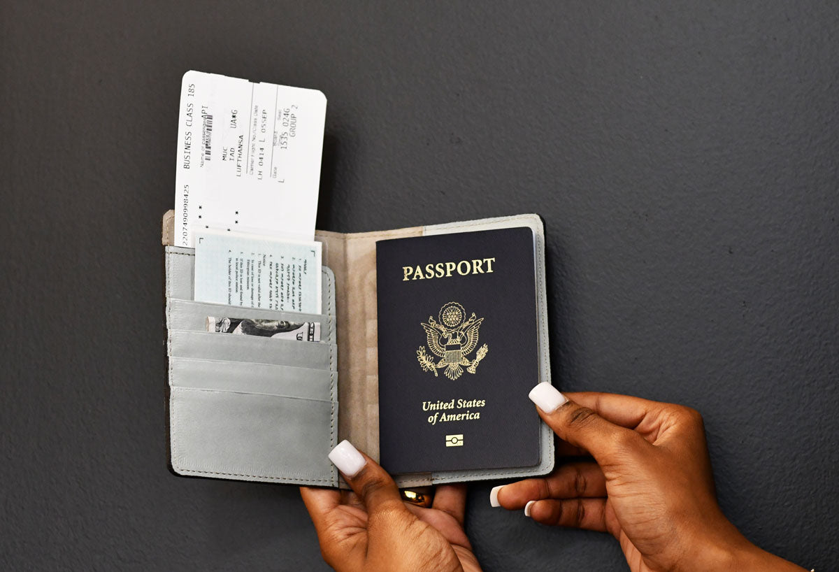 Plane Passport Holders